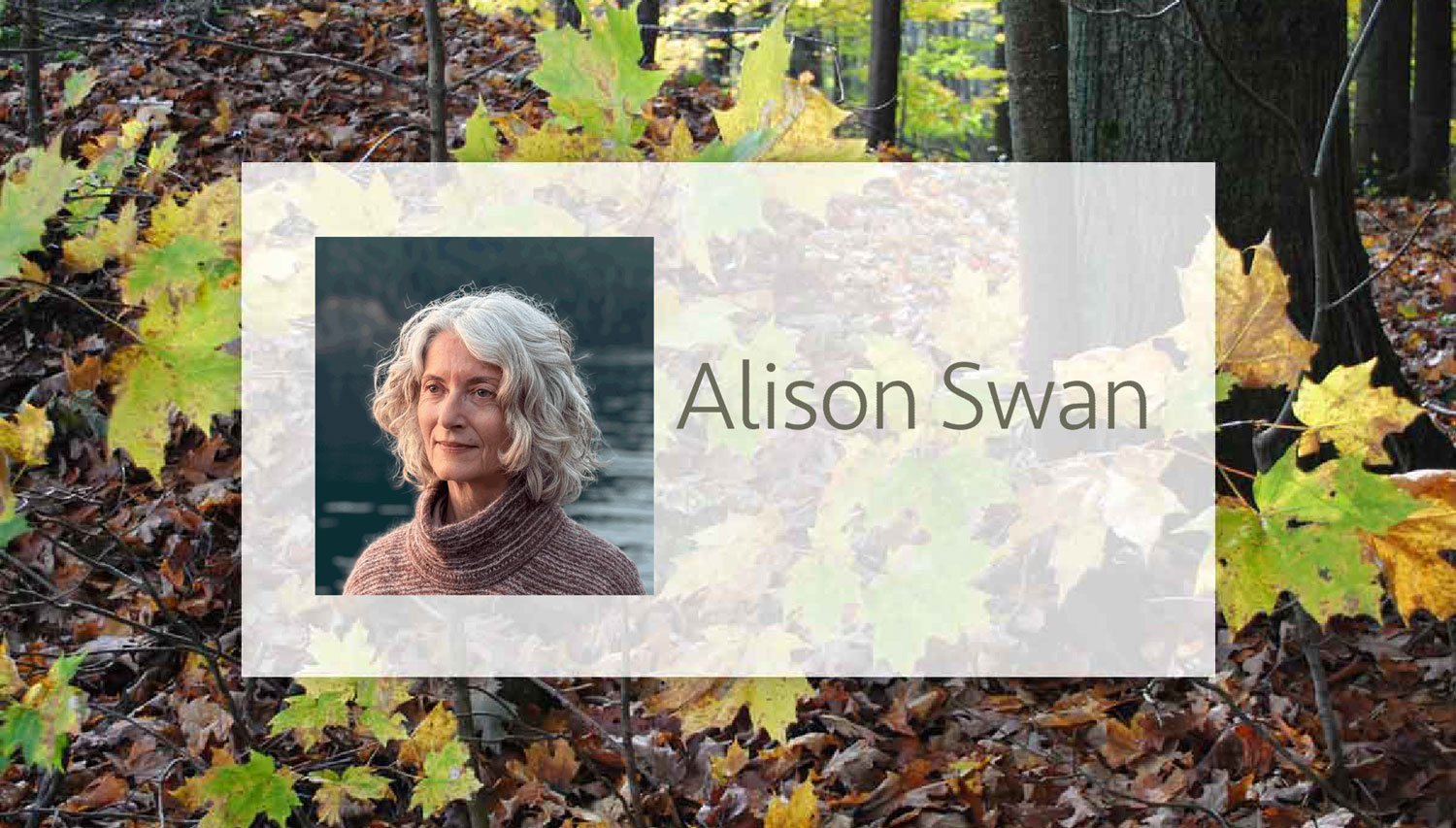 Alison Swan autor